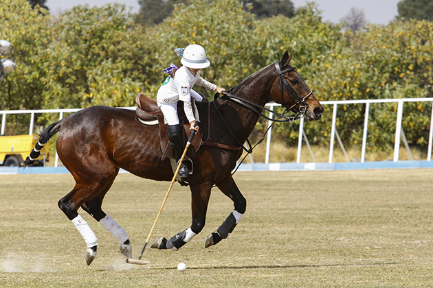 Lista la Handicap Classic Polo Cup - Pasión Ecuestre